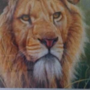 Meet your Posher, Victor